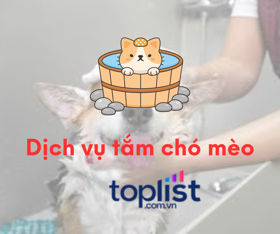 Dịch vụ tắm chó mèo