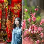 Top 11 điểm đến du lịch văn hóa Hà Nội đầu xuân năm mới
