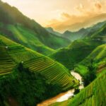 Top các địa điểm du lịch 3 miền Việt Nam đẹp khó cưỡng