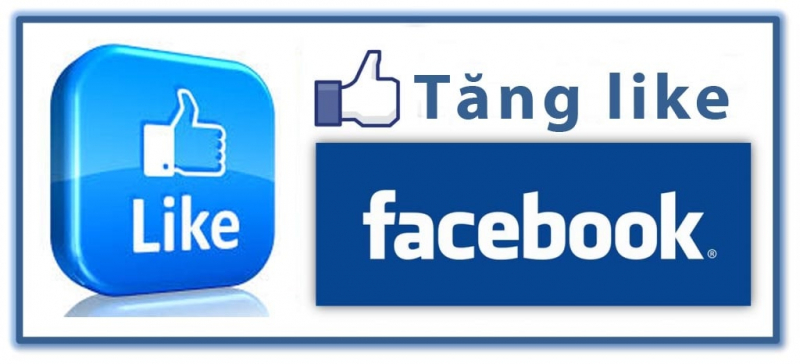 Top dịch vụ tăng like Facebook uy tín tại TPHCM