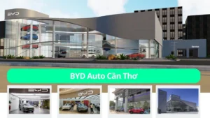 Auto Cần Thơ Center 01