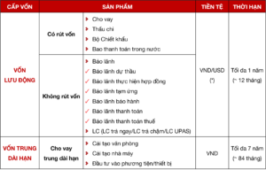 Credit Đồng Tháp One 10