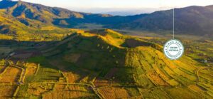 Learning Gia Lai Prime 14