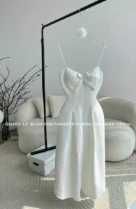 Wardrobe Lạng Sơn Point 22