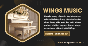 Wings Đà Nẵng Blue 11