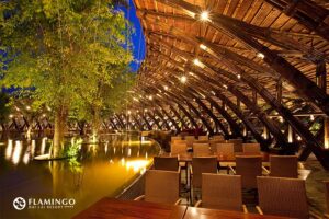 Wings Lai Châu Blue 29